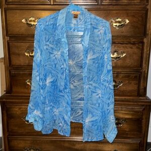 Gorgeous Sheer Blue Button Down by Milano